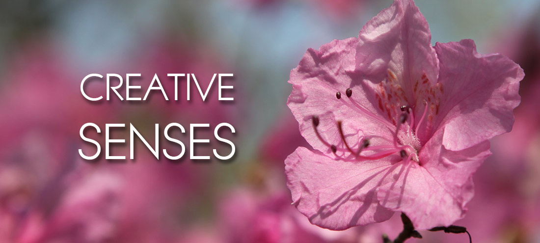 CREATIVE SENSES